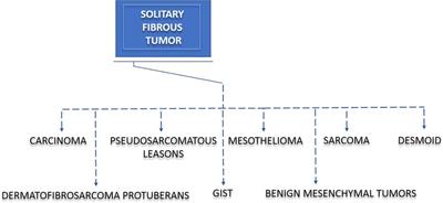 Diagnostic challenges and treatment options in patients with solitary fibrous tumor: A single-center observational study